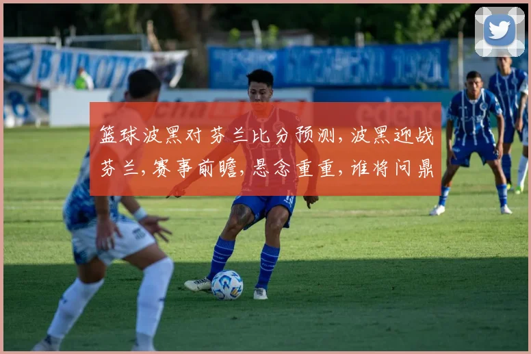 篮球波黑对芬兰比分预测,波黑迎战芬兰,赛事前瞻,悬念重重,谁将问鼎