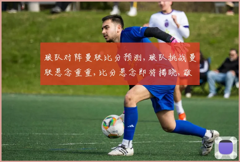 狼队对阵曼联比分预测,狼队挑战曼联悬念重重,比分悬念即将揭晓,敬请关注。